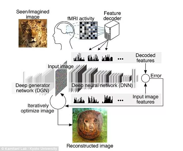解码脑电信号，AI重构脑中的画面
